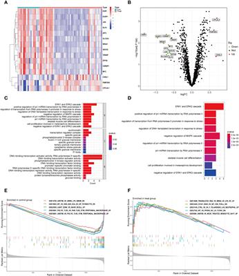 New insights from integrated bioinformatics analysis: the role of circadian rhythm disruption and immune infiltration in obstructive sleep apnea disease